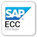 SAP-ECC1